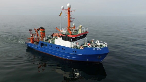 Das Forschungsschiff "Clupea" © Thünen-Institut für Ostseefischerei 