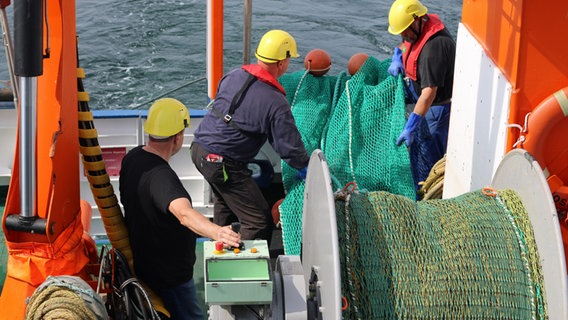 Die Crew des Forschungsschiffs "Clupea" bringt ein Schleppnetz aus.  Foto: Claudio Campagna