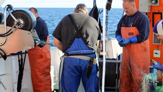 Mit einer Winde hieven Besatzungsmitglieder auf dem Forschungsschiff "Clupea" ein Stellnetz an Bord.  Foto: Claudio Campagna
