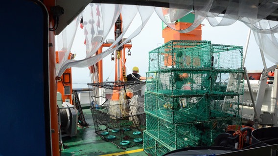 An Bord des Forschungsschiffs "Clupea" © Thünen-Institut für Ostseefischerei 
