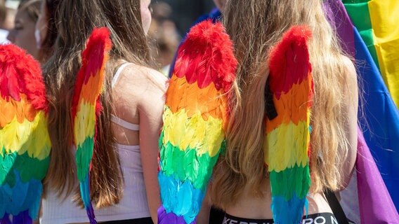 Teilnehmer des Christopher Street Day in Rostock mit Regenbogenflügeln © dpa-Bildfunk Foto: Stefan Sauer/dpa