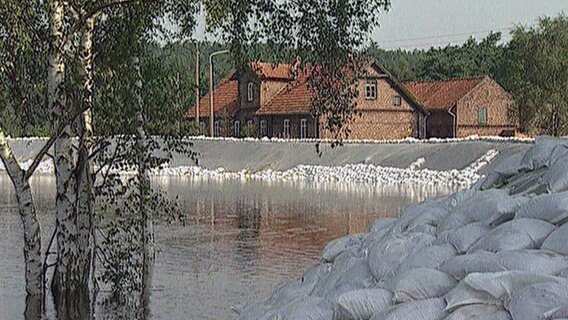 Eine Raupe häuft Erde zum Deichausbau auf. © NDR Foto: NDR