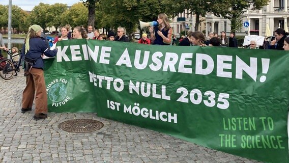 Demonstranten mit Schildern beim weltweiten Klimastreik in Schwerin © NDR.de Foto: Jelena Morgenstern