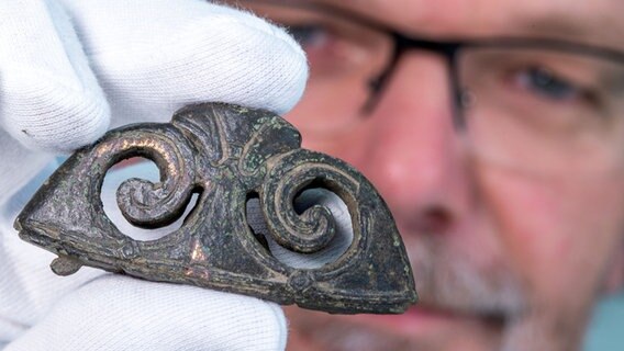Wiligrad: Detlef Jantzen, Landesarchäologe von Mecklenburg-Vorpommern, zeigt einen frühmittelalterlichen Schwertknauf aus einem Funden bei Neuburg-Steinhausen im Archäologischen Landesamt © dpa Foto: Jens Büttner