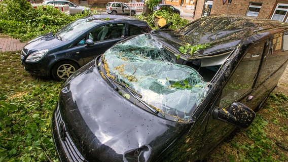 Dömitz: Von umgestürzten Bäumen stark beschädigte Fahrzeuge stehen auf einem Parkplatz in der Ortsmitte. © dpa-Bildfunk Foto: Jens Büttner