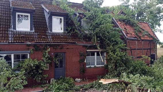 Ein Sturm hat in Dömitz für Schäden an Bäumen und Wohnhäusern geführt. © NDR MV Foto: Freiwillige Feuerwehr Heidhof