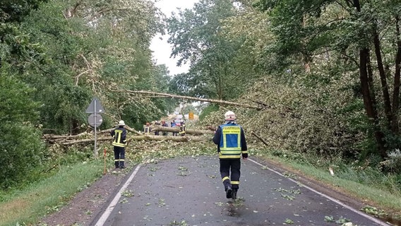Ein Sturm rund um Dömitz an der Elbe hat für Schäden an Bäumen geführt. © NDR MV Foto: Freiwillige Feuerwehr Heidhof