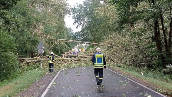 Ein Sturm rund um Dömitz an der Elbe hat für Schäden an Bäumen geführt. © NDR MV Foto: Freiwillige Feuerwehr Heidhof