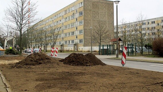 Flächen am Straßenrand im Schweriner Stadtteil Großer Dreesch werden verschönert. © NDR.de Foto: Henning Strüber