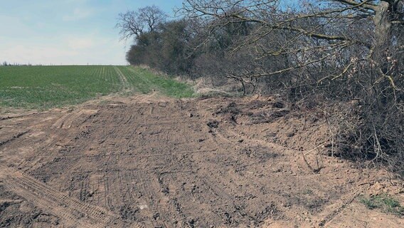 Kösterbeck: Ein Feldrand, wo drei Leichen vergraben wurden. © Stefan Tretropp Foto: Stefan Tretropp