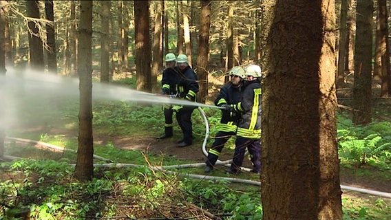 Feuerwehrleute löschen einen Waldbrand. © NDR Foto: NDR
