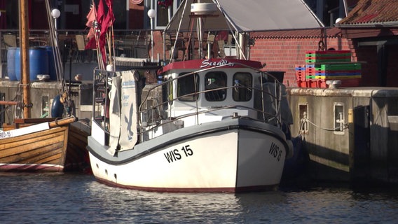 Fischerboot liegt in Wismarer Hafen. © NDR 