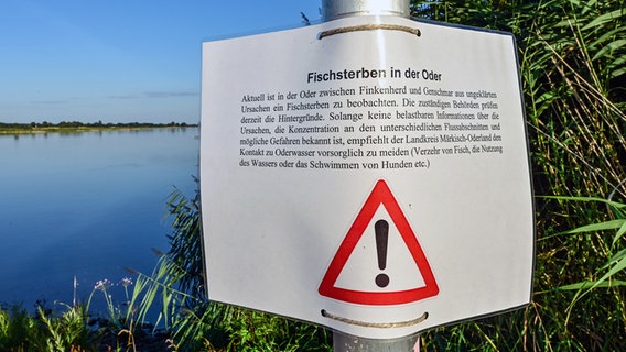 Ein Warnhinweis zum Fischsterben im deutsch-polnischen Grenzflusses Oder hängt am Ufer. © Patrick Pleul/dpa +++ dpa-Bildfunk +++ Foto: Patrick Pleul/dpa +++ dpa-Bildfunk +++