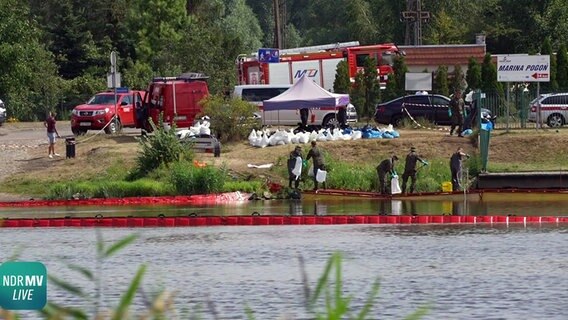 In Gartz (Landkreis Uckermark) errichteten Feuerwehrleute eine Ölsperre, damit die toten Fische nichb weiter flussabwärts treiben können. © NDR Foto: NDR