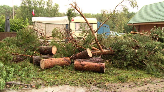 Umgestürzte Bäume auf einem Campingplatz in Freest. © NDR 
