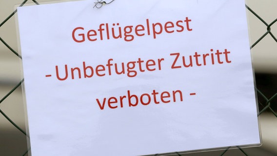 Ein Schild informiert über den Ausbruch der Geflügelpest in einem Mastputenbetrieb in Heinrichswalde. © NDR 