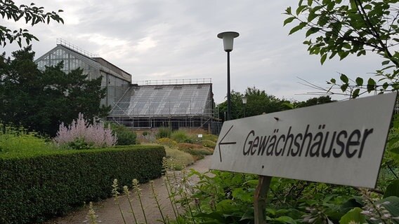 Historische Gewachshauser In Greifswald Werden Saniert Ndr De