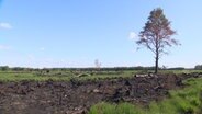 So sieht es im Göldenitzer Moor jetzt aus © NDR 