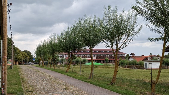 Die von Bäumen gesäumte Zufahrt zum Golchener Hof, wo die SPD eine Versammlung abgehalten hat. © NDR Foto: Paul Knoll