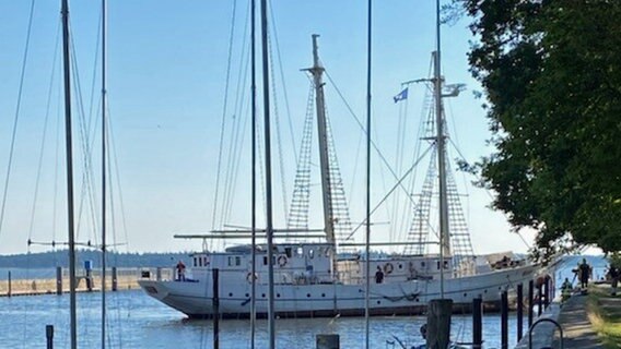 Das Segelschulschiff "Greif" treibt auf dem Ryck. © Polizei Neubrandenburg Foto: Polizei Neubrandenburg