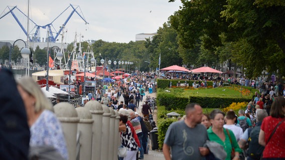 Tausende Besucher schauten sich am Freitagnachmittag die Hanse Sail in Warnemünde an. © NDR Foto: Laureen Zielke