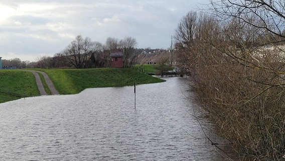 Die Elbe in Boizenburg bei Hochwasser: Der Fluss ist deutlich über die Ufer getreten und hat Felder überschwemmt. © NDR Foto: Mike-Oliver Woyth