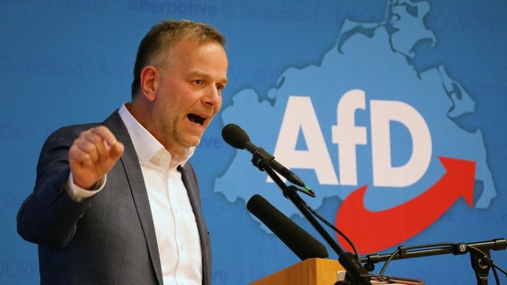 Der AfD-Landesparteivorsitzende Leif-Erik Holm spricht auf dem Parteitag in Waren an der Müritz. © dpa Foto: Bernd Wüstneck