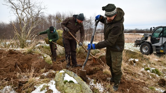 Ehrenamtliche Arbeiter der Bodendenkmalpflege an einem Hügelgrab. Der etwa 5 Meter im Durchmesser große Hügel liegt auf einem leicht von Schnee bedeckten Feld. Daneben steht ein Bagger. © NDR Foto: Janet Lindemann