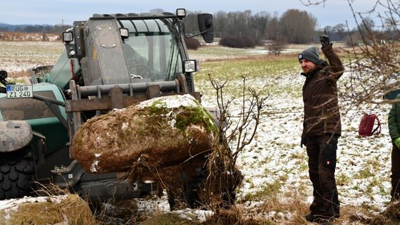 Ein Radlader hebt mit seiner Gabel einen großen Stein von etwa eineinhalb Metern Länge und einem halben Meter Höhe wie Breite aus dem Boden. © NDR Foto: Janet Lindemann