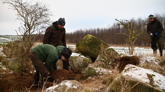 Ein Mann wuchtet einen Stein von einem Hügelgrab, zwei weitere Männer sehen ihm dabei zu. © NDR Foto: Janet Lindemann