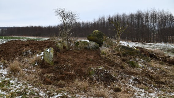 Das wiederhergerichtete Hügelgrab liegt auf einem leicht verschneiten Feld. Der Aufschluss aus Erde wird von mehreren, großen, zum Grab gehörigen Steinen umrahmt. © NDR Foto: Janet Lindemann