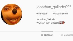 Screenshot eines Profils, das den Namen Jonathan Galindo verwendet. © Screenshot Instagram 