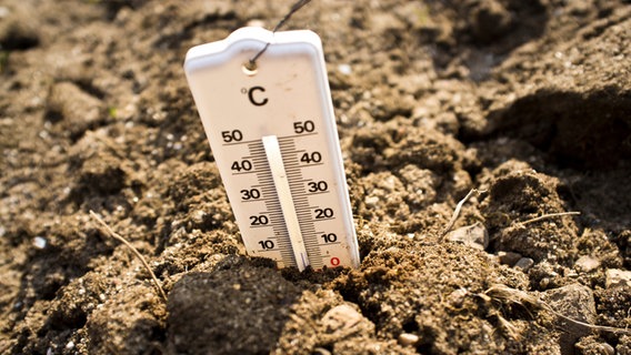 Thermometer steckt in Erde © NDR Foto: Udo Tanske