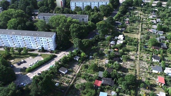 Kleingärten und Wohngebiet © NDR Foto: NDR