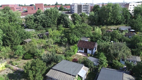 Kleingärten und Wohngebiet © NDR Foto: NDR