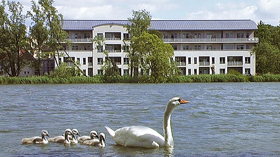 Ein vierstöckiges weißes Gebäude des Crivitzer Krankenhauses. Im Vordergrund schwimmt ein Schwan mit Jungen auf dem See. © Mediclin Foto: Mediclin