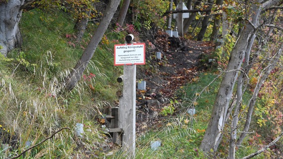 Blick auf den Abstieg zum Strand , aufgenommen am 11.10.2017 im Nationalpark Jasmund bei Sassnitz (Mecklenburg-Vorpommern). Das Kreidefelsmassiv neben dem Königsstuhl auf der Insel Rügen ist nach Angaben des Umweltministeriums Mecklenburg-Vorpommern teilweise instabil. Aus diesem Grund wird die Treppe am beliebtesten Ausflugsziel der Insel zurückgebaut. © dpa Bildfunk Foto: Stefan Sauer