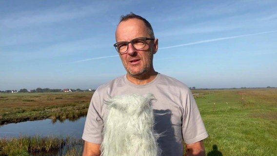 Die Wettervorhersage von Stefan Kreibohm vom NDR Wetterstudio auf Hiddensee. © NDR Foto: NDR Screenshots