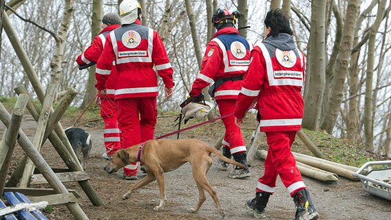 Rettungshundeführer suchen nach einem verschütteten Mädchen. © dpa-Bildfunk Foto: Stefan Sauer/dpa-Bildfunk