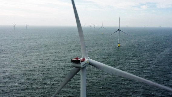 Mehrere Windräder in der Ostsee. © NDR Foto: NDR