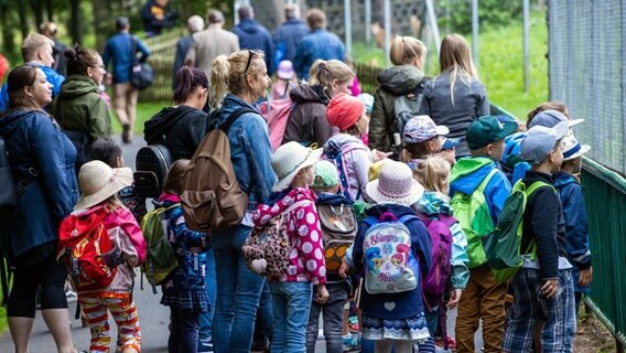 Kinder aus verschiedenen Kindergärten der Hansestadt sind beim Landeszootag im Tierpark Wismar unterwegs. © dpa-Bildfunk Foto: Jens Büttner