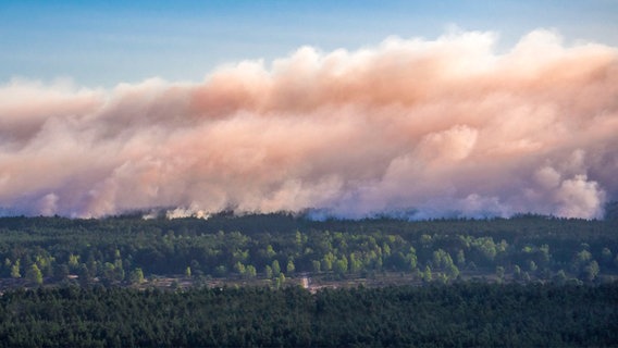 Rauch steigt bei einem großflächigen Waldbrand in der Nähe der evakuierten Ortschaft Alt Jabel aus dem Wald auf. © dpa-Bildfunk Foto: Jens Büttner