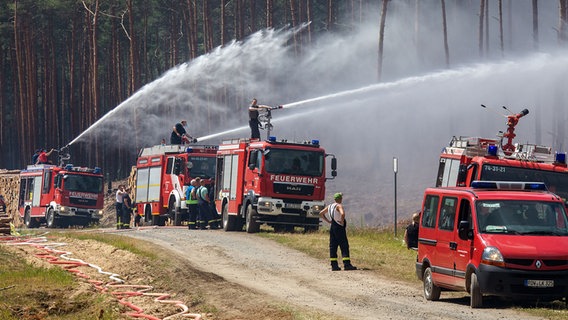 Feuerwehrleute löschen in der Nähe der evakuierten Ortschaft Alt Jabel einen großflächigen Waldbrand. © dpa Zentralbild Foto: Jens Büttner