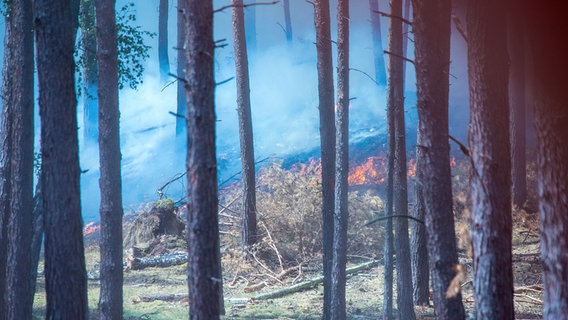 Dichter Rauch zieht durch den Wald in der Nähe der evakuierten Ortschaft Alt Jabel. © dpa Zentralbild Foto: Jens Büttner