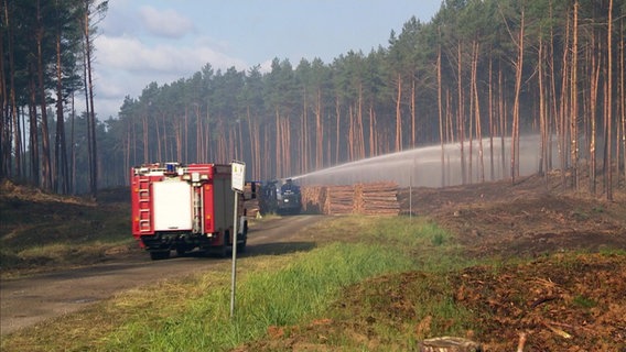 Feuerwehrfahrzeug und Wasserwerfer in einem Wald im Einsatz. © NDR Foto: Screenshot