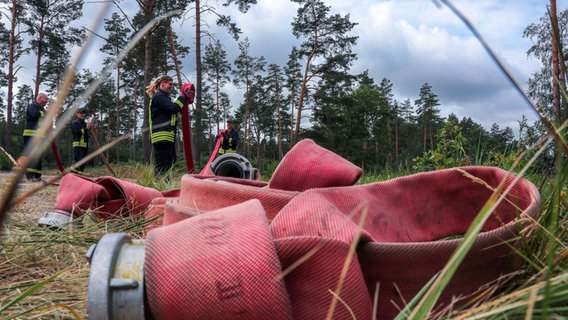 Alt Jabel: Feuerwehrleute wickeln Löschschläuche am Rande des munitionsverseuchten Gebiets auf dem ehemaligen Truppenübungsplatz bei Lübtheen auf. © dpa-Bildfunk Foto: Jens Büttner