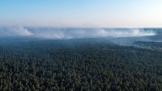 Drohnenfotos aus der Luft zeigen eindrucksvoll die aus dem Waldstück bei Lübtheen aufsteigenden Rauchschwaden. © dpa Foto: Jens Büttner