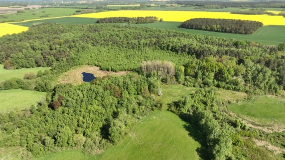 Das Mannhagener Moor aus der Luft. Zu sehen sind Wald, Wiesen und Ackerflächen sowie ein kleiner Tümpel auf einer Lichtung. Das Areal ist eines der größten Naturschutzgebiete in Mecklenburg-Vorpommern. © NDR Foto: NDR