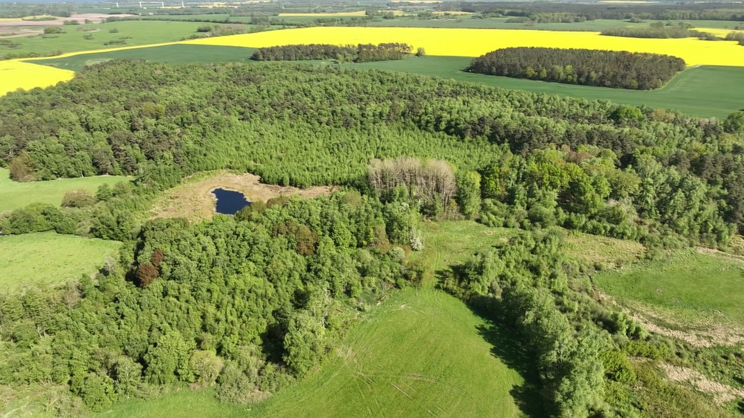 Das Mannhagener Moor aus der Luft. Zu sehen sind Wald, Wiesen und Ackerflächen sowie ein kleiner Tümpel auf einer Lichtung. Das Areal ist eines der größten Naturschutzgebiete in Mecklenburg-Vorpommern.