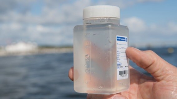 Eine Hand hält eine Plastikflasche mit einer Wasserprobe. Im Hintergrund ist verschwommen eine Küstenufer-Landschaft zu sehen. © dpa-Bidlfunk Foto: Stefan Sauer